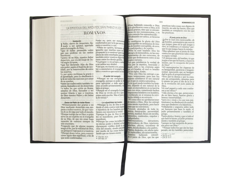 Cargue la imagen en el visor de la galería, Biblia RVR 1960, Tamaño manual, Letra Grande, Tapa flex León
