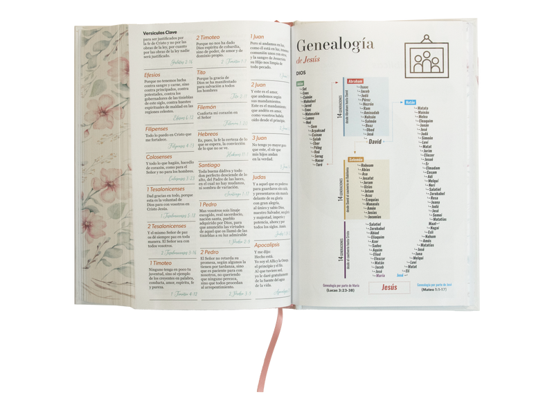 Cargue la imagen en el visor de la galería, Biblia RVR 1960, Tamaño Manual, Letra Grande, tapa dura con elástico flor
