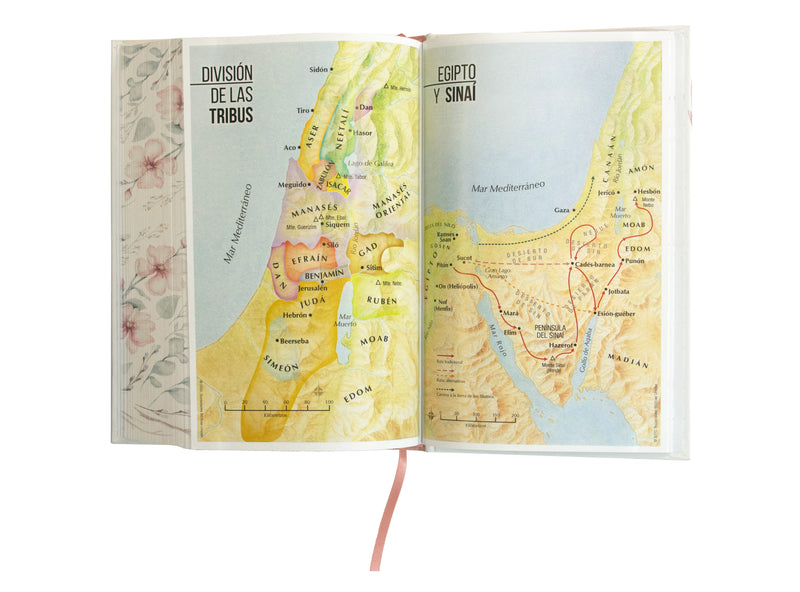 Cargue la imagen en el visor de la galería, Biblia RVR 1960, Tamaño Manual, Letra Grande, tapa dura con elástico flor
