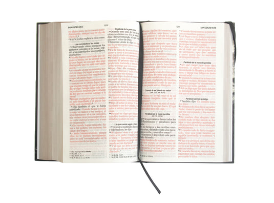 Biblia RVR 1960, Tamaño Manual, Letra Grande, tapa dura con elástico León