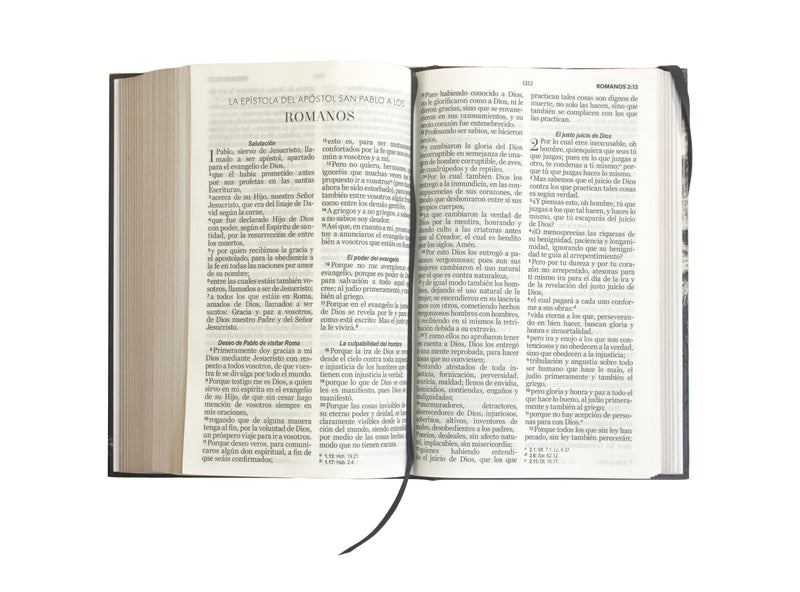Cargue la imagen en el visor de la galería, Biblia RVR 1960, Tamaño Manual, Letra Grande, tapa dura con elástico León
