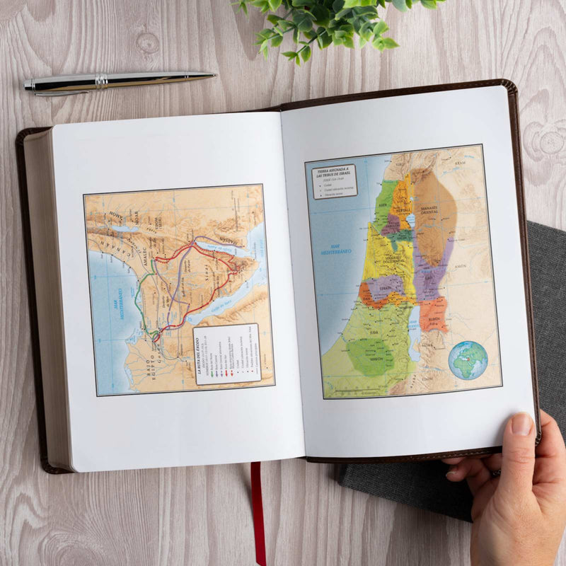 Cargue la imagen en el visor de la galería, Biblia de credos y confesiones RVR 1960, simil piel café
