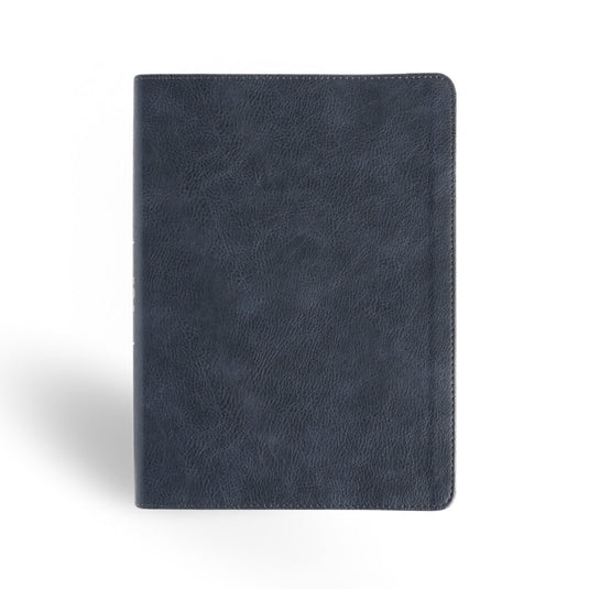 Biblia de Estudio RVR 1960, Letra Gigante, símil piel gris