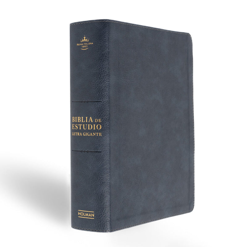 Cargue la imagen en el visor de la galería, Biblia de Estudio RVR 1960, Letra Gigante, símil piel gris
