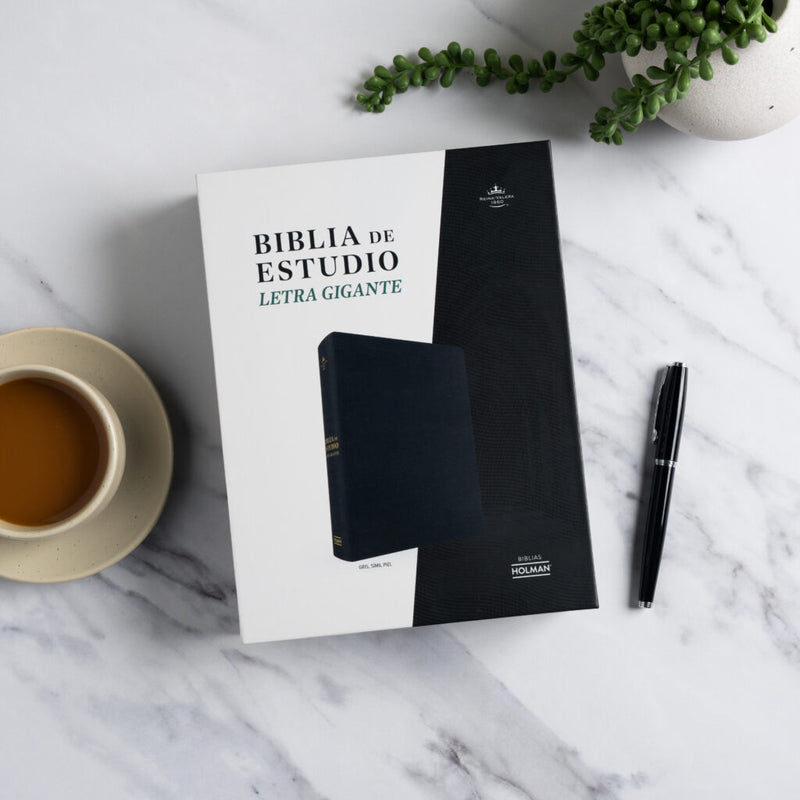 Cargue la imagen en el visor de la galería, Biblia de Estudio RVR 1960, Letra Gigante, símil piel gris
