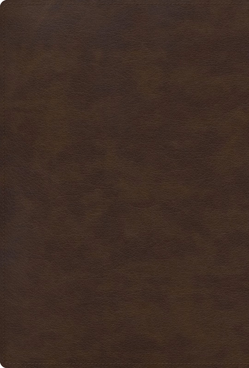 Cargue la imagen en el visor de la galería, Biblia RVR 1960, Letra Grande, Tamaño Manual, edición especial, símil piel café cruz
