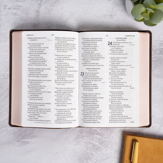 Biblia RVR 1960, Letra Grande, Tamaño Manual, edición especial, símil piel café cruz
