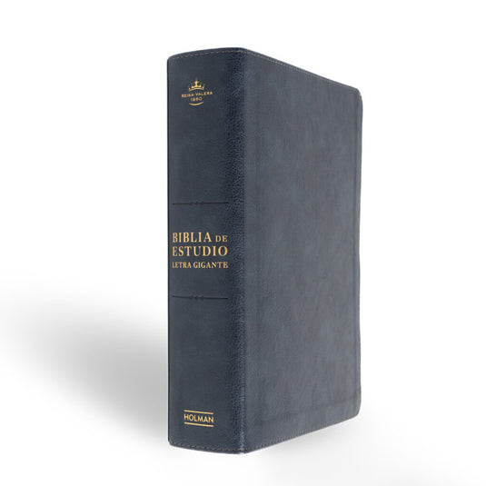 Biblia de Estudio RVR 1960, Letra Gigante, con índice, símil piel gris