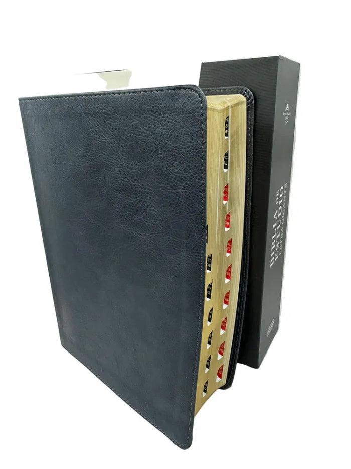 Cargue la imagen en el visor de la galería, Biblia de Estudio RVR 1960, Letra Gigante, con índice, símil piel gris
