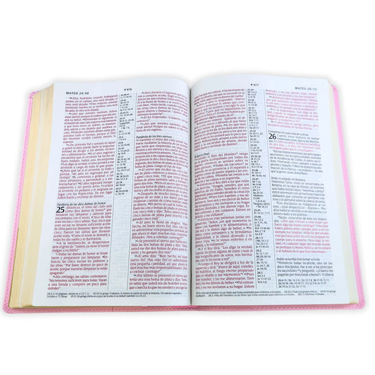 Biblia de referencia en la columna central NTV con Filament, Letra Grande, imitación piel rosa