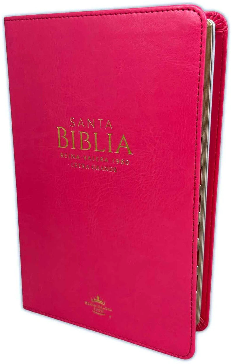 Cargue la imagen en el visor de la galería, Biblia RVR 1960, Letra Grande, con índice, imitación piel fucsia
