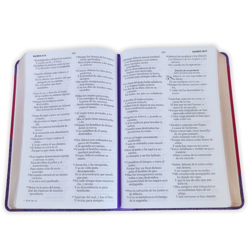 Cargue la imagen en el visor de la galería, Biblia RVR 1960, Tamaño manual, Letra Grande, imitación piel bitono morada
