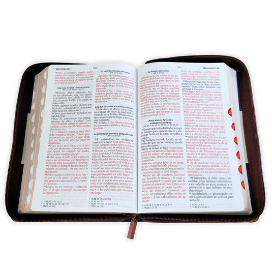 Biblia RVR 1960, Letra Grande, Cierre zíper, con índice, imitación piel azul, gris, café