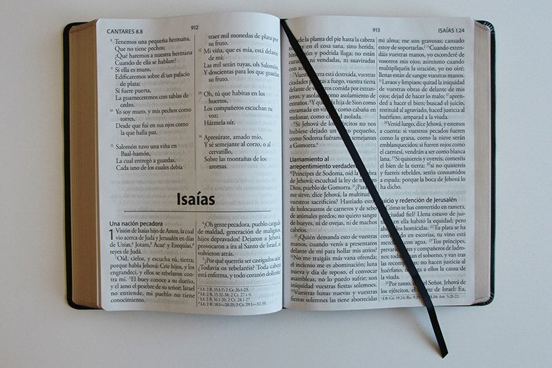 Cargue la imagen en el visor de la galería, Biblia ultrafina RVR 1960, Letra Súper Gigante, símil piel negra
