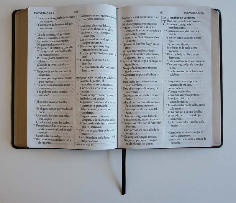 Cargue la imagen en el visor de la galería, Biblia ultrafina RVR 1960, Letra Súper Gigante, símil piel negra
