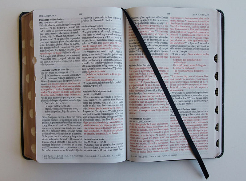 Cargue la imagen en el visor de la galería, Biblia León de Judá RVR 1960, Letra Grande, con índice, imitación piel negra
