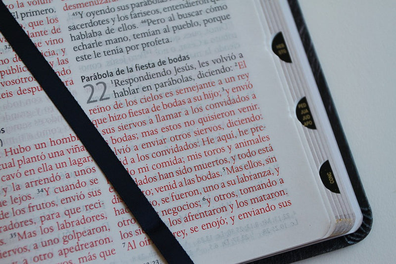 Cargue la imagen en el visor de la galería, Biblia León de Judá RVR 1960, Letra Grande, con índice, imitación piel negra
