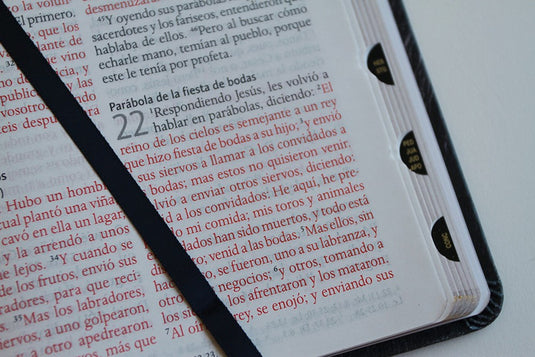 Biblia León de Judá RVR 1960, Letra Grande, con índice, imitación piel negra