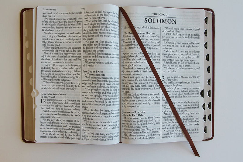 Cargue la imagen en el visor de la galería, KJV Holy Bible, Giant Print,  Index, Brown Premium Imitation Leather (Biblia en inglés)
