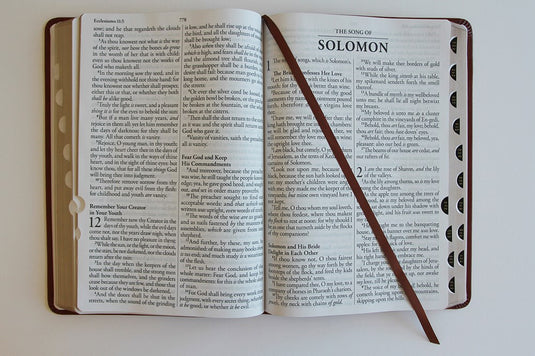 KJV Holy Bible, Giant Print,  Index, Brown Premium Imitation Leather (Biblia en inglés)