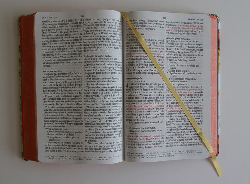 Cargue la imagen en el visor de la galería, Biblia RVR 1960, Letra Grande, Tamaño Manual, tapa dura terracota flores
