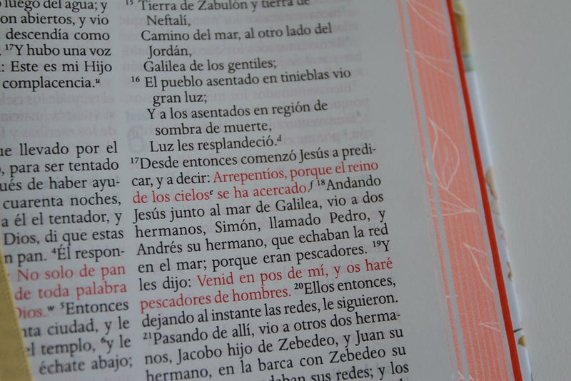 Cargue la imagen en el visor de la galería, Biblia RVR 1960, Letra Grande, Tamaño Manual, tapa dura terracota flores
