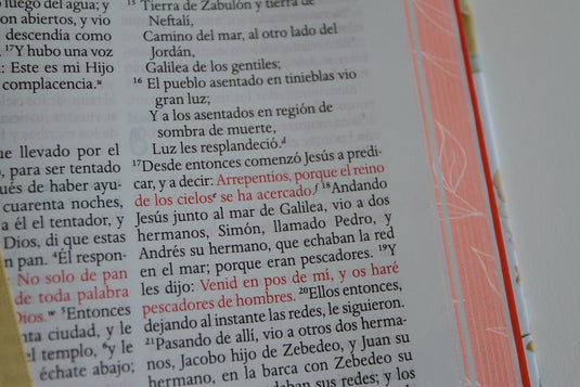 Biblia RVR 1960, Letra Grande, Tamaño Manual, tapa dura terracota flores