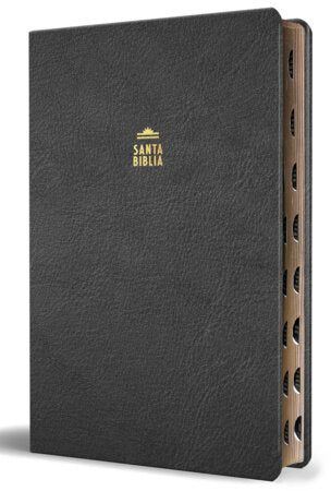 Biblia RVR 1960, Letra Gigante, Tamaño Manual, con índice,  símil piel negro