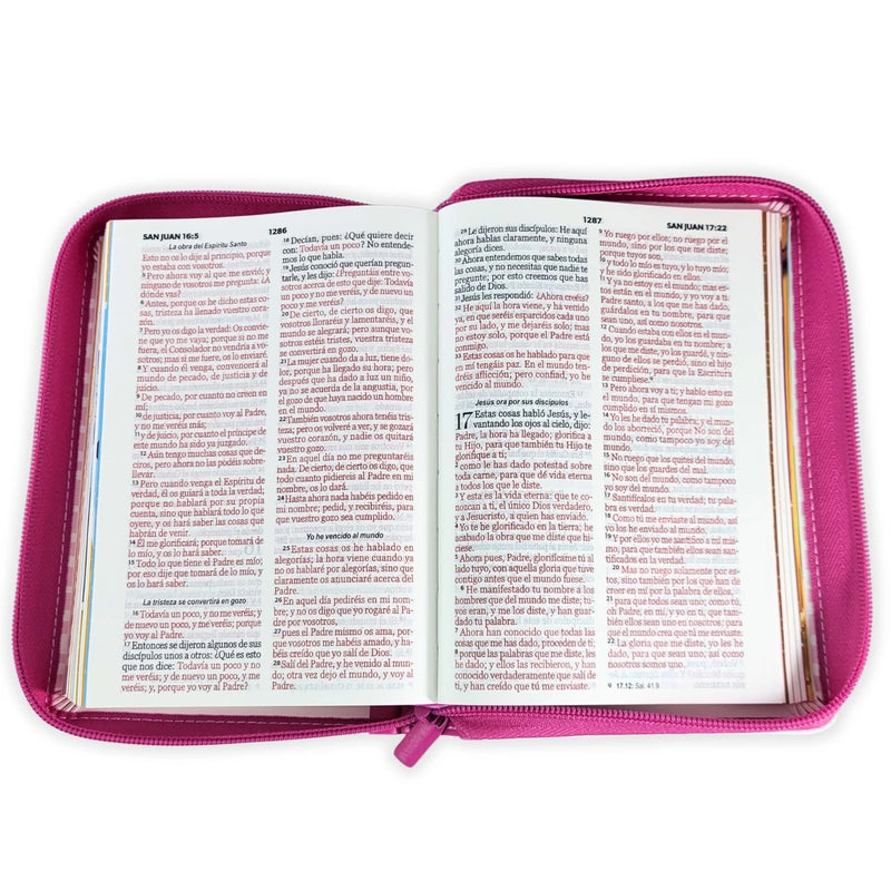 Cargue la imagen en el visor de la galería, Biblia Mi Gran Viaje RVV 1960, Letra Grande, Cierre zíper, imitación piel rosa con asa
