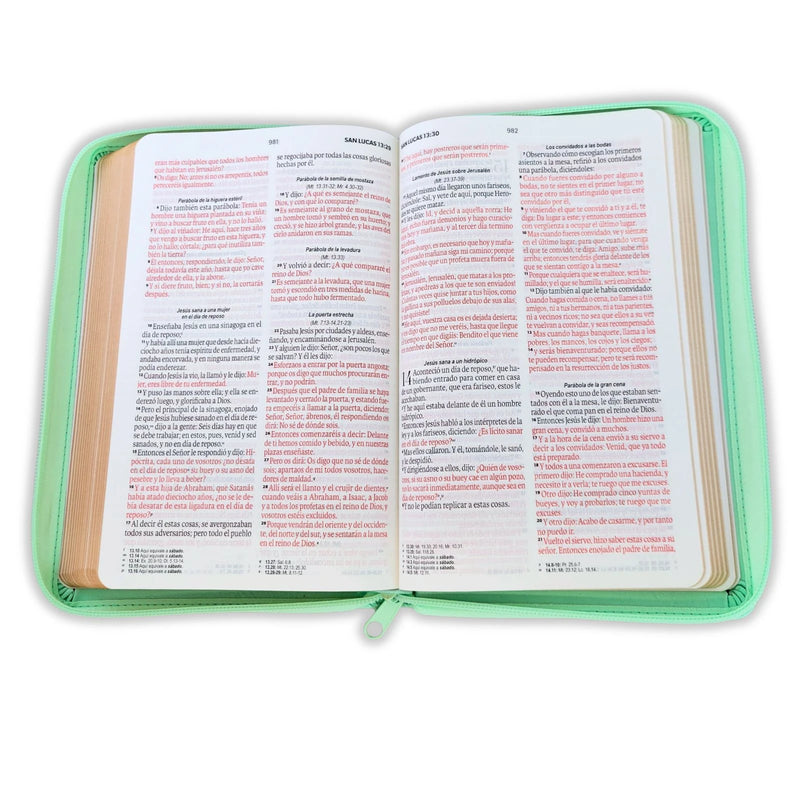 Cargue la imagen en el visor de la galería, Biblia RVR 1960, Tamaño portátil, Letra Grande, Cierre zíper, imitación piel menta mariposas
