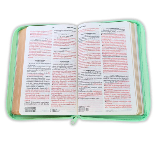 Biblia RVR 1960, Tamaño portátil, Letra Grande, Cierre zíper, imitación piel menta mariposas