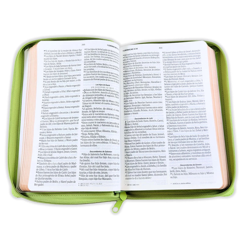 Cargue la imagen en el visor de la galería, Biblia RVR 1960, Tamaño portátil, Cierre zíper, Letra Grande, imitación piel verde olivo
