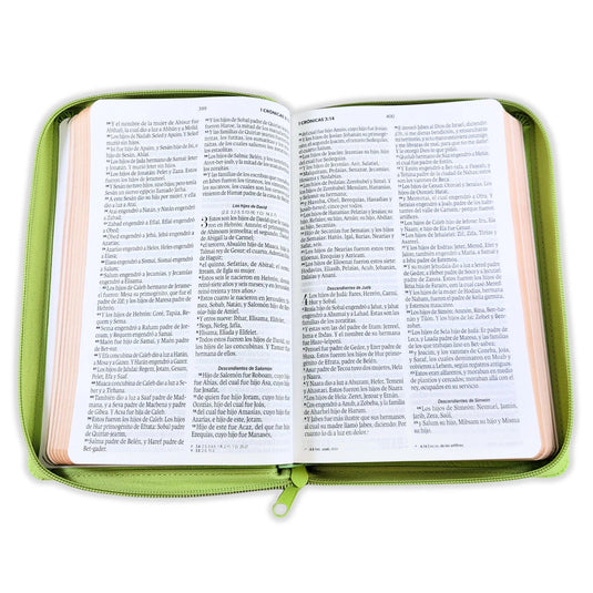 Biblia RVR 1960, Tamaño portátil, Cierre zíper, Letra Grande, imitación piel verde olivo