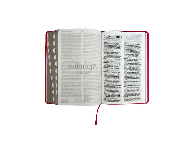 Cargue la imagen en el visor de la galería, Biblia RVR 1960, Letra Grande, con índice, imitación piel fucsia
