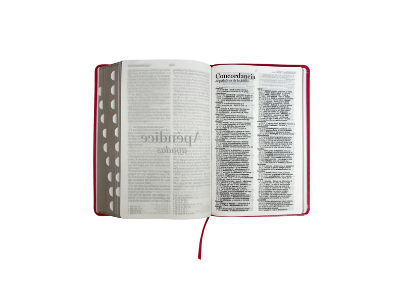 Cargue la imagen en el visor de la galería, Biblia RVR 1960, Letra Grande, con índice, imitación piel fucsia
