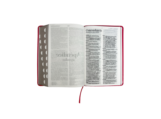 Biblia RVR 1960, Letra Grande, con índice, imitación piel fucsia
