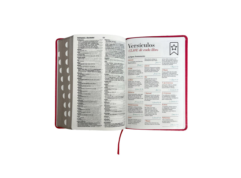 Cargue la imagen en el visor de la galería, Biblia RVR 1960, Letra Grande, con índice, imitación piel fucsia
