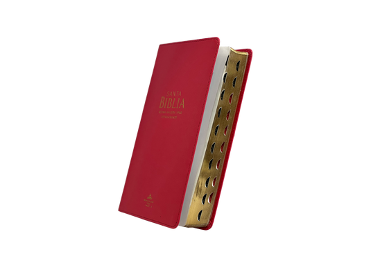 Biblia RVR 1960, Letra Grande, con índice, imitación piel fucsia