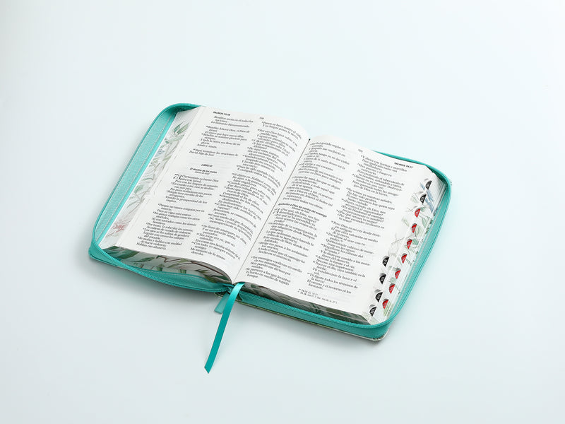 Cargue la imagen en el visor de la galería, Biblia RVR 1960, Tamaño portátil, Cierre zíper, con índice, Letra Grande, imitación piel menta mariposas
