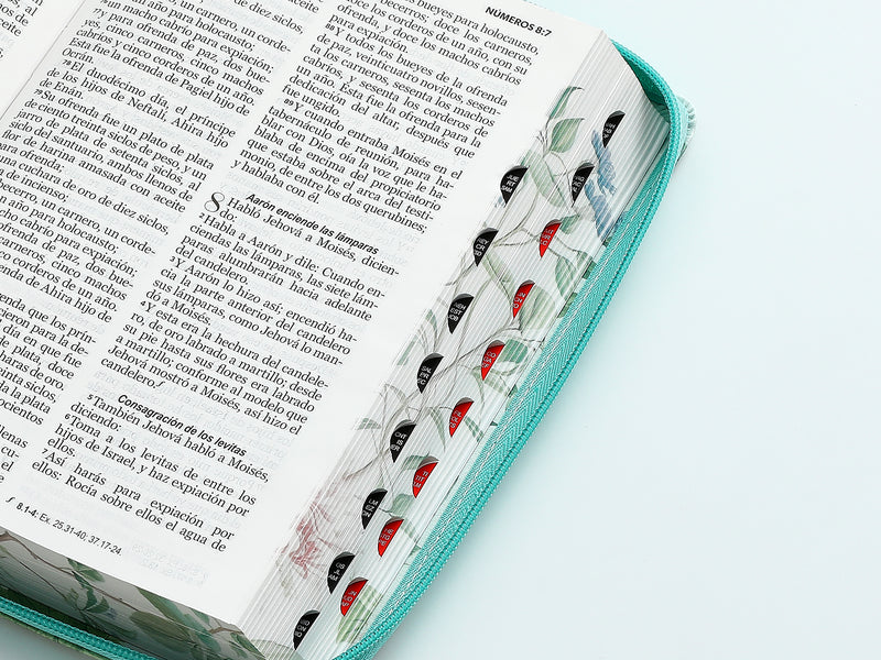 Cargue la imagen en el visor de la galería, Biblia RVR 1960, Tamaño portátil, Cierre zíper, con índice, Letra Grande, imitación piel menta mariposas
