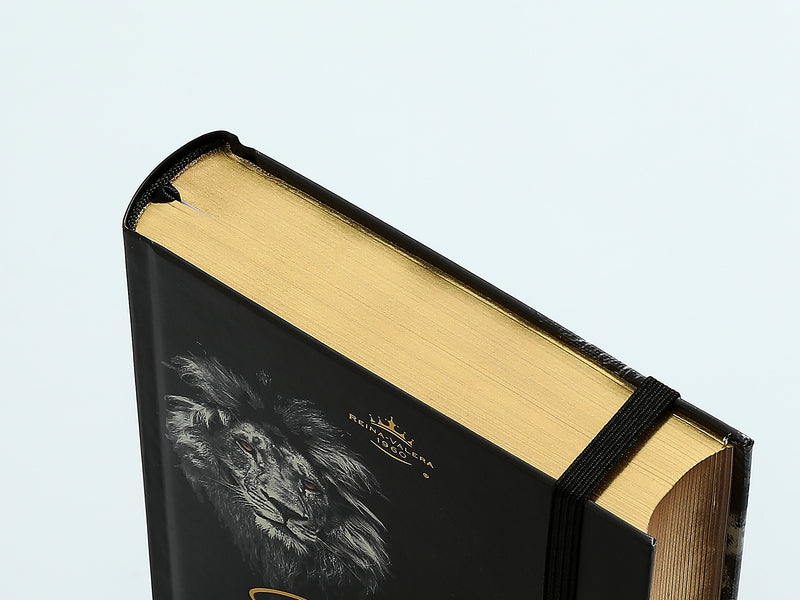 Cargue la imagen en el visor de la galería, Biblia RVR 1960, Tamaño Manual, Letra Grande, tapa dura con elástico León
