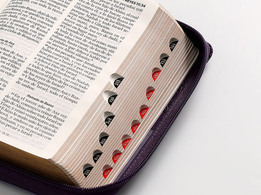Biblia RVR 1960, Tamaño portátil, Cierre zíper, con índice, Letra Grande, imitación piel tonos lila