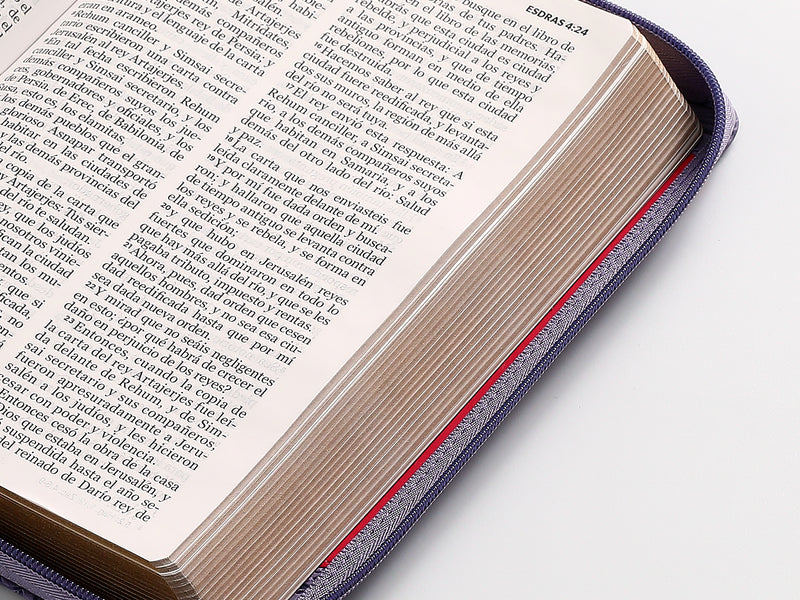 Cargue la imagen en el visor de la galería, Biblia RVR 1960, Tamaño manual, Cierre zíper, Letra Grande, imitación piel bitono morada
