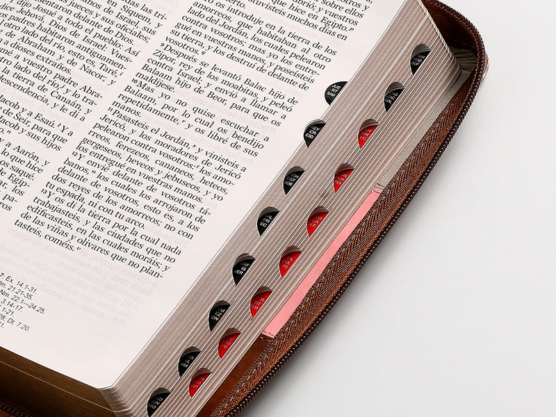 Cargue la imagen en el visor de la galería, Biblia RVR 1960, Cierre zíper, con índice, Letra Grande, imitación piel gris,rosa,café

