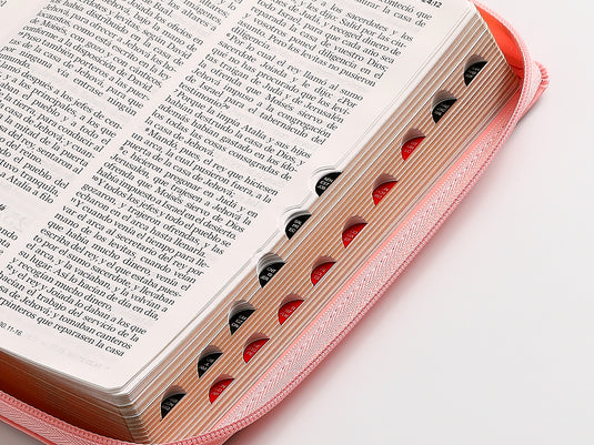 Biblia RVR 1960, Letra Grande, Cierre zíper, con índice, imitación piel rosada