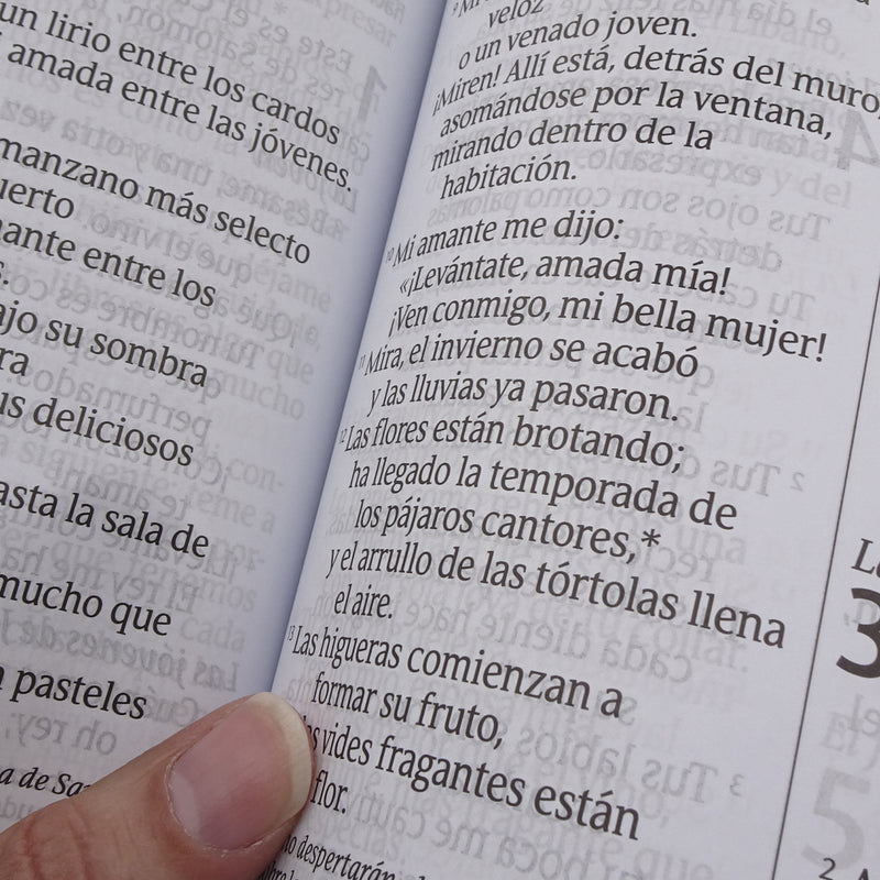 Cargue la imagen en el visor de la galería, Biblia NTV, Letra Súper Gigante, con índice, imitación piel beige pájaro
