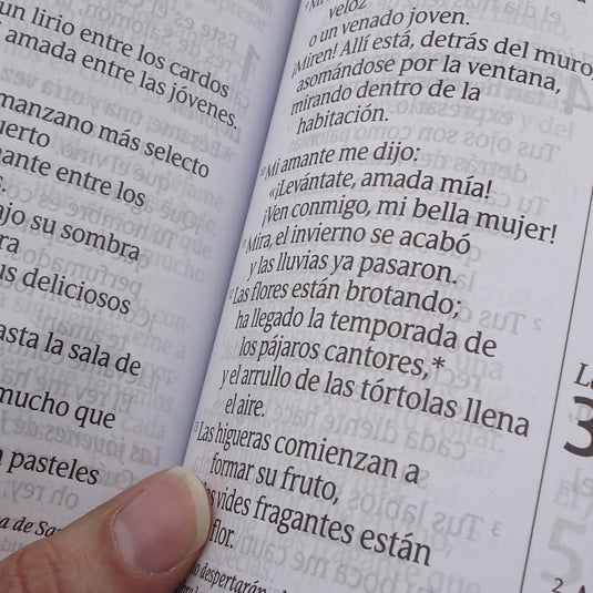 Biblia NTV, Letra Súper Gigante, con índice, imitación piel beige pájaro