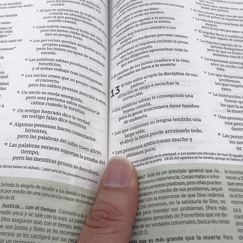Cargue la imagen en el visor de la galería, Biblia de estudio del Diario Vivir para jóvenes NTV, con Filament, tapa dura
