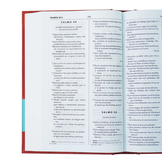 Biblia NVI poder del Espíritu Santo - Tapa Dura