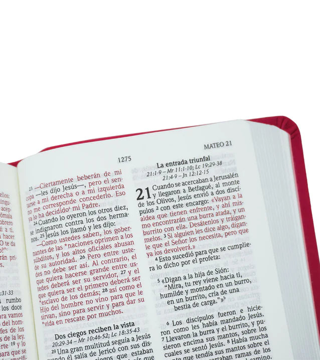 Cargue la imagen en el visor de la galería, Biblia NVI, Letra Grande, Tamaño Bolsillo, Fucsia tornasol
